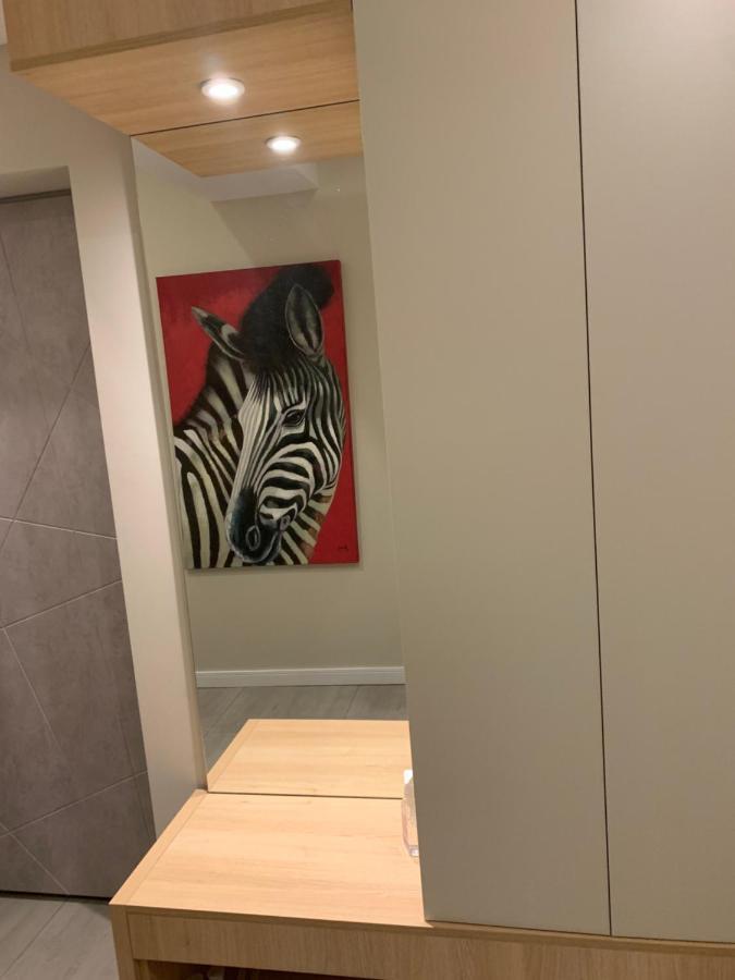 Anda Apartment Mamaia Ngoại thất bức ảnh